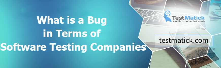 What is a Bug in Terms of Software Testing Companies
