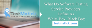 WHAT-DO-SOFTWARE-TESTING-SERVICE-PROVIDERS-DEFINE-AS-WHITE BOX,-BLACK-BOX