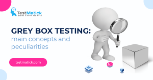 Grey-Box-Testing-Main-Concepts-and-Peculiarities