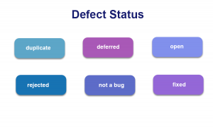 Defect Status