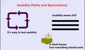 Usability Myths and Speculations